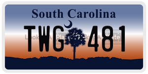 TWG481  license plate in SC