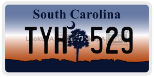 TYH529 license plate in South Carolina