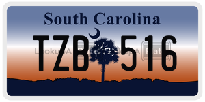 TZB516 license plate in South Carolina