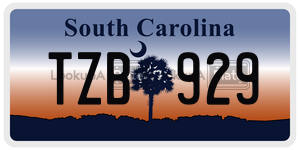 TZB929 license plate in South Carolina