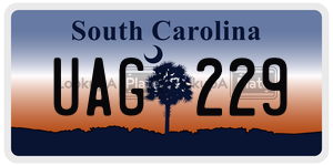 UAG229 license plate in South Carolina