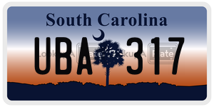 UBA317  license plate in SC