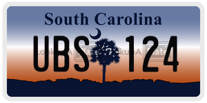 UBS124 license plate in South Carolina