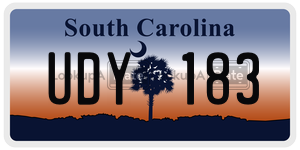 UDY183 license plate in South Carolina