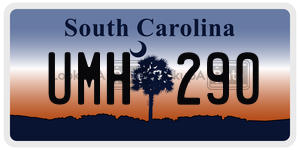 UMH290  license plate in SC