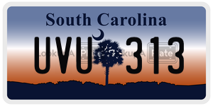 UVU313 license plate in South Carolina
