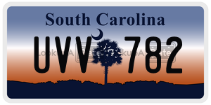 UVV782 license plate in South Carolina