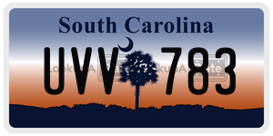 UVV783 license plate in South Carolina