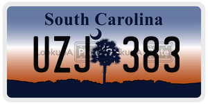 UZJ383 license plate in South Carolina