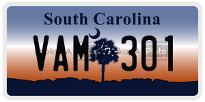 VAM301  license plate in SC