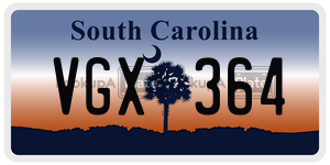 VGX364  license plate in SC