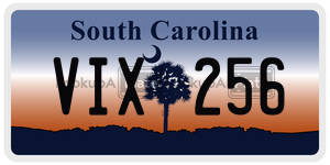 VIX256 license plate in South Carolina