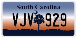 VJV929 license plate in South Carolina