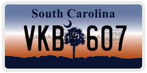 VKB607 license plate in South Carolina