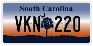 VKN220 license plate in South Carolina