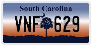VNF629  license plate in SC