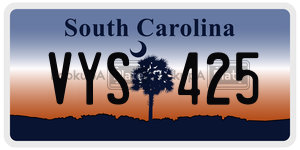 VYS425 license plate in South Carolina