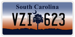 VZI623 license plate in South Carolina