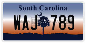 WAJ789 license plate in South Carolina