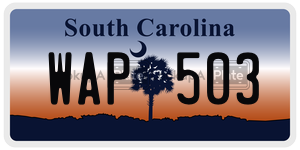 WAP503 license plate in South Carolina