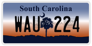 WAU224  license plate in SC