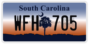 WFH705  license plate in SC
