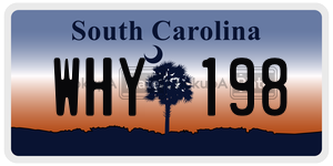WHY198  license plate in SC