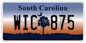 WIC875 license plate in South Carolina