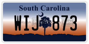WIJ873 license plate in South Carolina