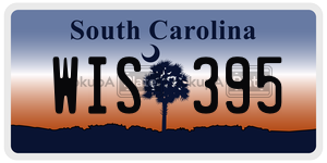 WIS395 license plate in South Carolina