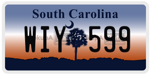 WIY599  license plate in SC