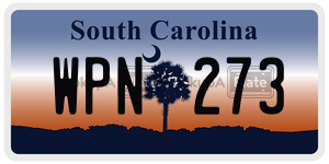 WPN273  license plate in SC