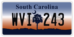WVI243 license plate in South Carolina