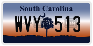 WVY513 license plate in South Carolina