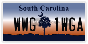 WWG1WGA  license plate in SC