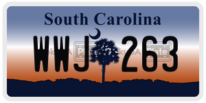 WWJ263 license plate in South Carolina