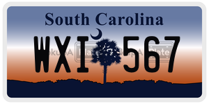 WXI567 license plate in South Carolina