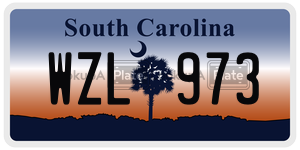 WZL973  license plate in SC