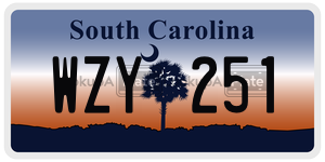 WZY251 license plate in South Carolina