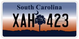 XAH423  license plate in SC