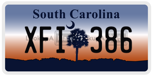 XFI386 license plate in South Carolina