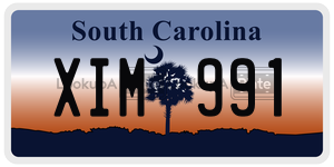 XIM991 license plate in South Carolina