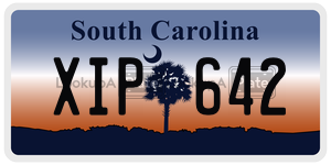 XIP642 license plate in South Carolina