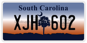 XJH602 license plate in South Carolina