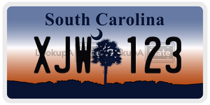 XJW123 license plate in South Carolina