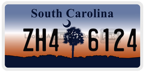 ZH46124 license plate in South Carolina