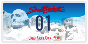 01  license plate in SD