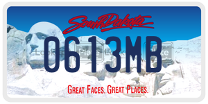 0613MB  license plate in SD