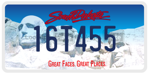 16T455  license plate in SD