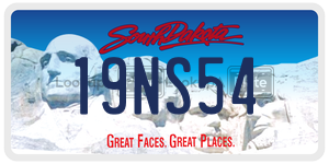19NS54  license plate in SD